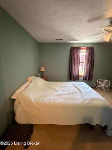 845 DE Brown Rd, Brandenburg, KY 40108