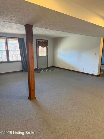 845 DE Brown Rd, Brandenburg, KY 40108