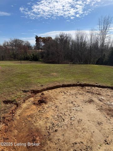 845 DE Brown Rd, Brandenburg, KY 40108