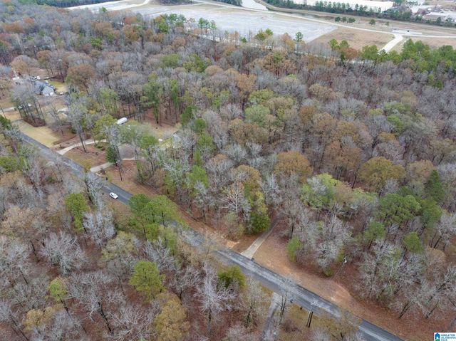 145 CHESTNUT DRIVE, Alabaster, AL 35007