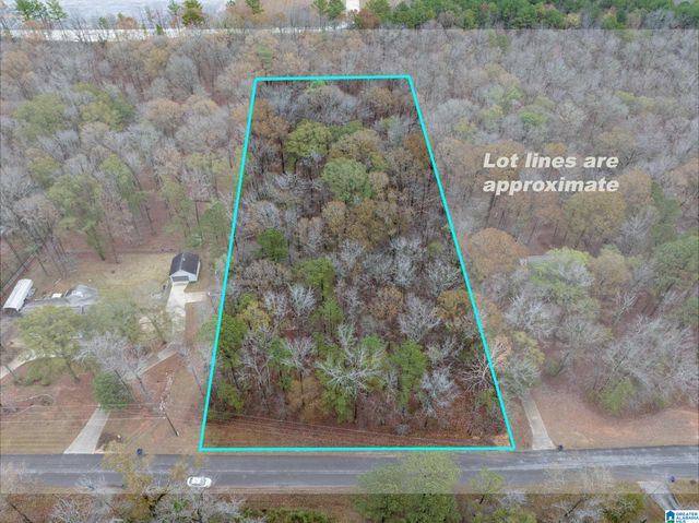 145 CHESTNUT DRIVE, Alabaster, AL 35007