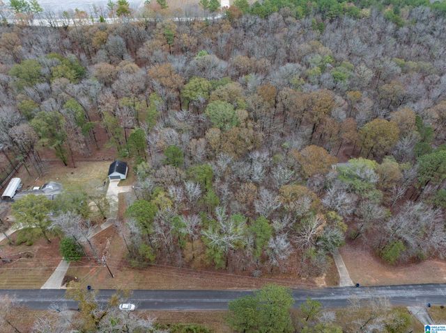 145 CHESTNUT DRIVE, Alabaster, AL 35007