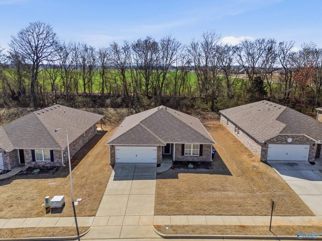 106 Jerrie Lynn Boulevard, Meridianville, AL 35759