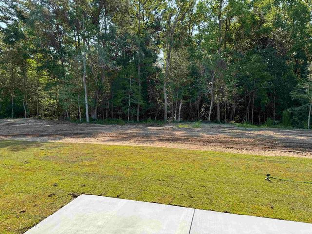 4263 Willow Springs Rd., Conway, SC 29527