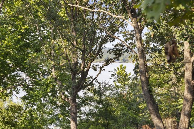25 Palomino Court, Lampe, MO 65681