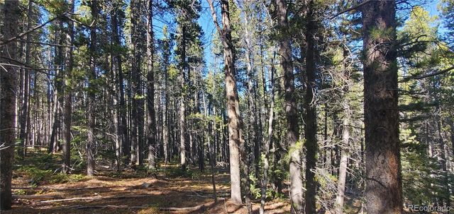 Lot 2999 & 2998 Drexler Place, Fort Garland, CO 81133