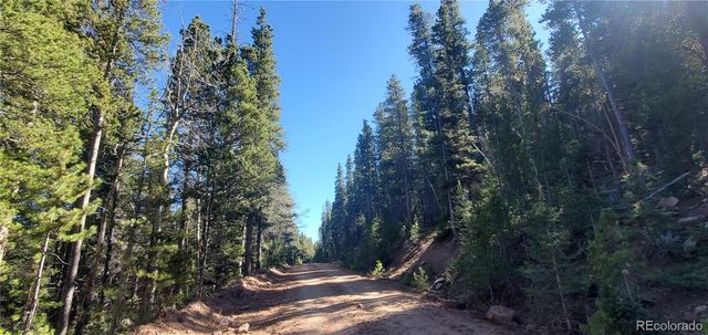 Lot 2999 & 2998 Drexler Place, Fort Garland, CO 81133