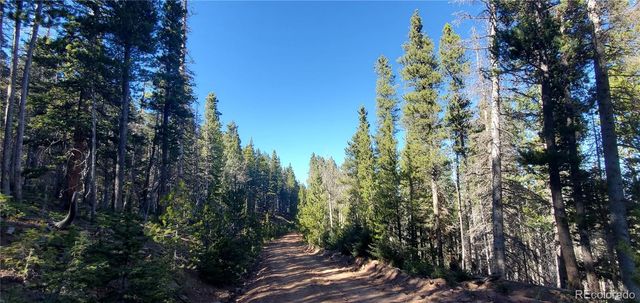 Lot 2999 & 2998 Drexler Place, Fort Garland, CO 81133