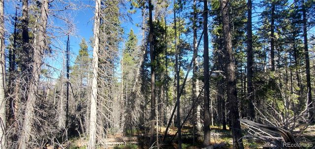 Lot 2999 & 2998 Drexler Place, Fort Garland, CO 81133