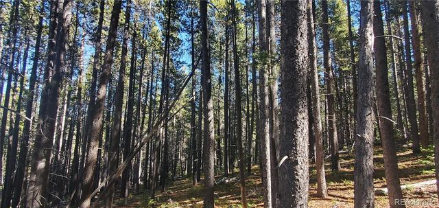 Lot 2999 & 2998 Drexler Place, Fort Garland, CO 81133