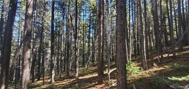 Lot 2999 & 2998 Drexler Place, Fort Garland, CO 81133