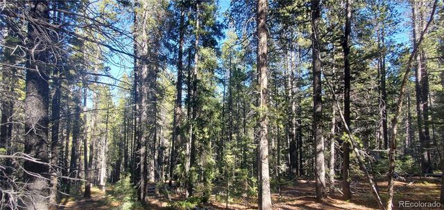 Lot 2999 & 2998 Drexler Place, Fort Garland, CO 81133