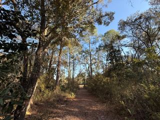 01 NE 126 STREET, Bronson, FL 32621