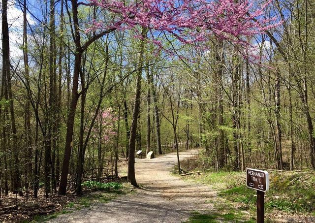 9 Torre del Mar Way, Hot Springs Village, AR 71909