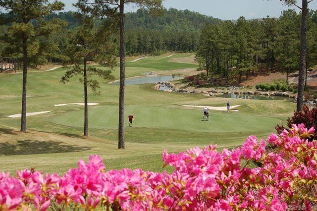 9 Torre del Mar Way, Hot Springs Village, AR 71909