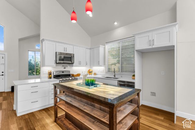 713 EAGLE PASS, North Salt Lake, UT 84054