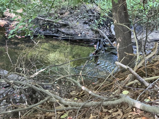 14417 Pinewood Drive, New Buffalo, MI 49117