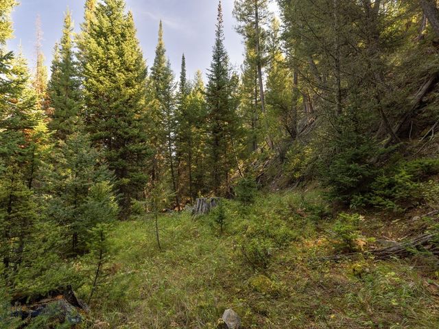 TBD Sweetroot Fork, Big Sky, MT 59716