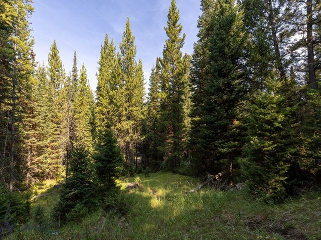 TBD Sweetroot Fork, Big Sky, MT 59716