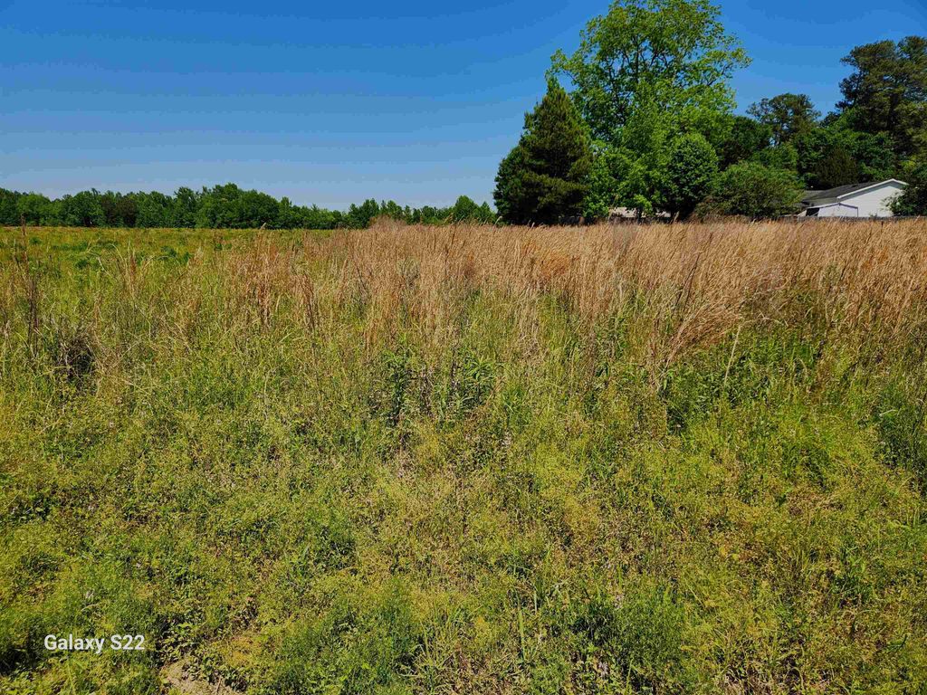 TBD Pleasant View Church Rd., Nichols, SC 29581 — exterior