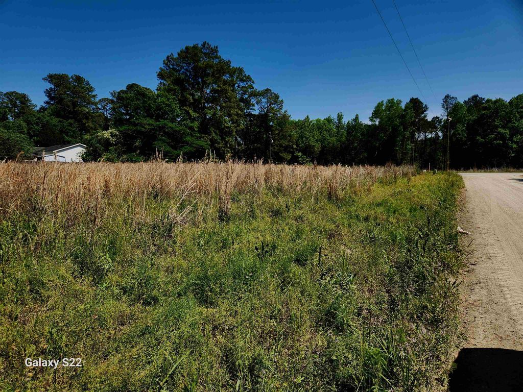 TBD Pleasant View Church Rd., Nichols, SC 29581 — photo 2