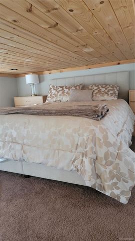 325 E Main Street, Silver Cliff, CO 81252