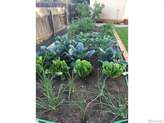 30 Tulip Court, Windsor, CO 80550