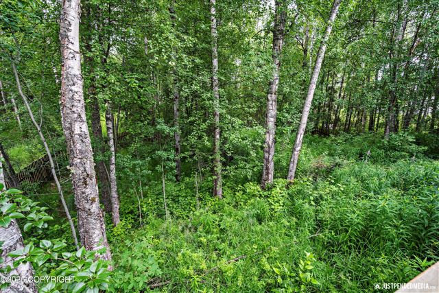 7409 S Timberview Drive, Wasilla, AK 99623