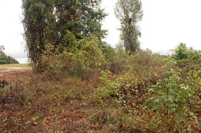 201 FLORADANDY ROAD, Hawthorne, FL 32640