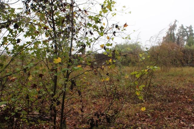 201 FLORADANDY ROAD, Hawthorne, FL 32640