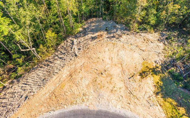 LOT 183 Canoe Point, Ellijay, GA 30540