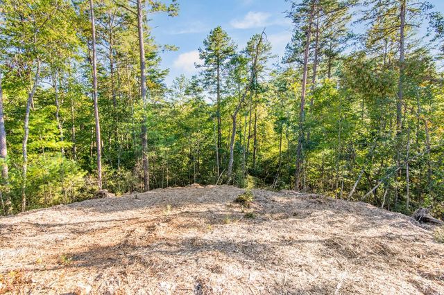 LOT 183 Canoe Point, Ellijay, GA 30540