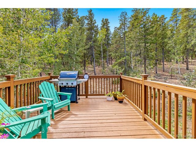 798 S Dory Lakes Dr, Black Hawk, CO 80422