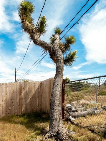 60485 Latham Trail, Joshua Tree, CA 92252