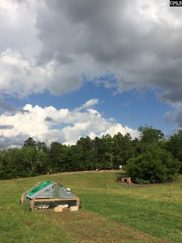 1860 Martin Smith Road, Leesville, SC 29070