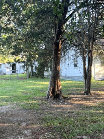 1860 Martin Smith Road, Leesville, SC 29070