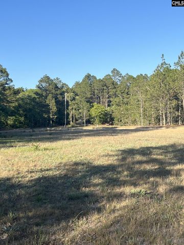 1860 Martin Smith Road, Leesville, SC 29070