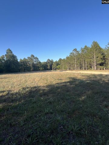 1860 Martin Smith Road, Leesville, SC 29070