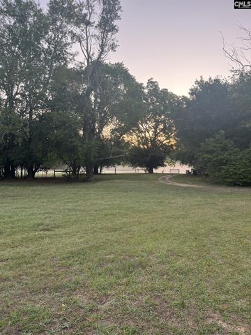 1860 Martin Smith Road, Leesville, SC 29070