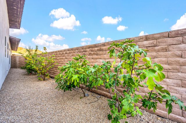 14315 E HARMONY Lane, Fountain Hills, AZ 85268