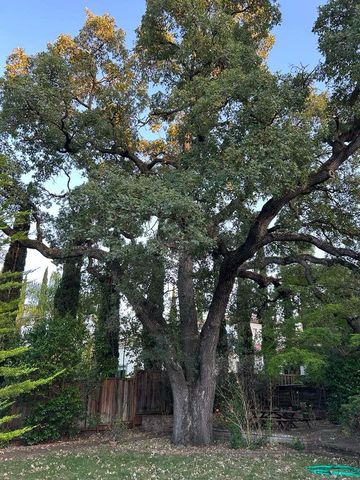 1345 Arbor Avenue, Los Altos, CA 94024