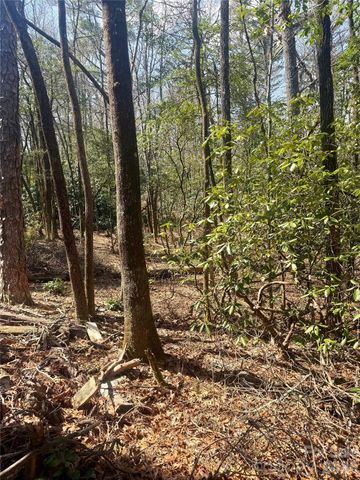 TBD Minerva Lane Lots 79,80,84, Sapphire, NC 28774