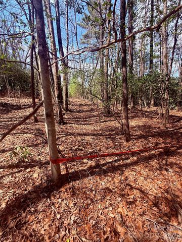 TBD Minerva Lane Lots 79,80,84, Sapphire, NC 28774