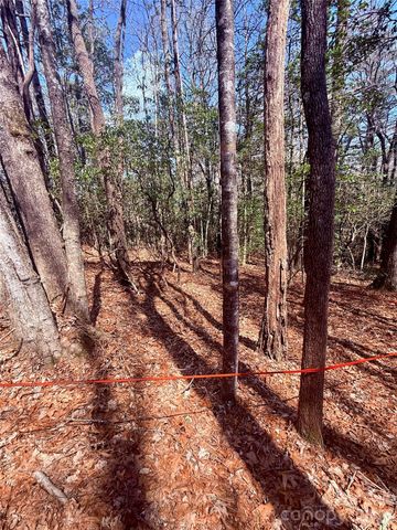 TBD Minerva Lane Lots 79,80,84, Sapphire, NC 28774