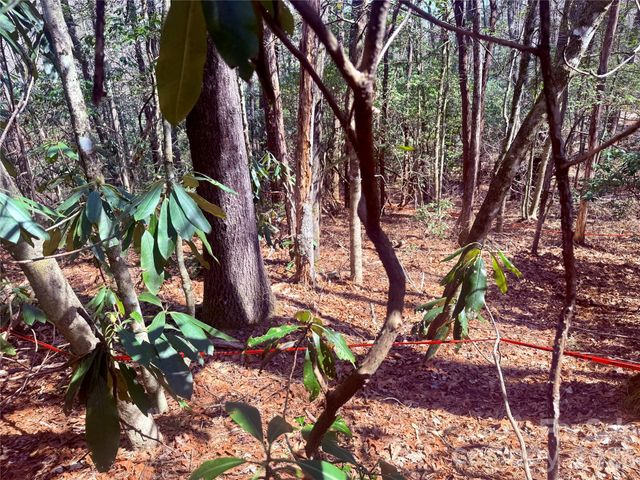 TBD Minerva Lane Lots 79,80,84, Sapphire, NC 28774