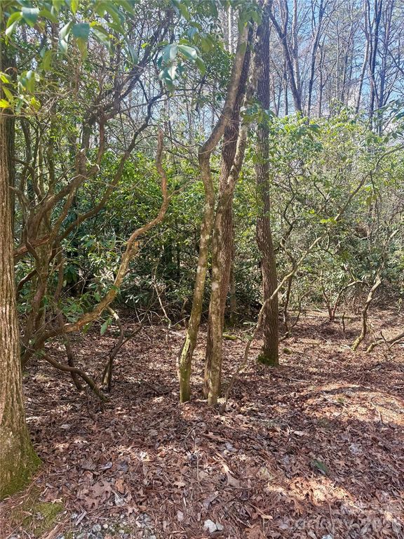 TBD Minerva Lane Lots 79,80,84, Sapphire, NC 28774