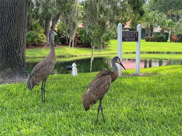 3637 YELLOW PINE COURT 146, Sarasota, FL 34238