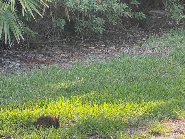 3637 YELLOW PINE COURT 146, Sarasota, FL 34238
