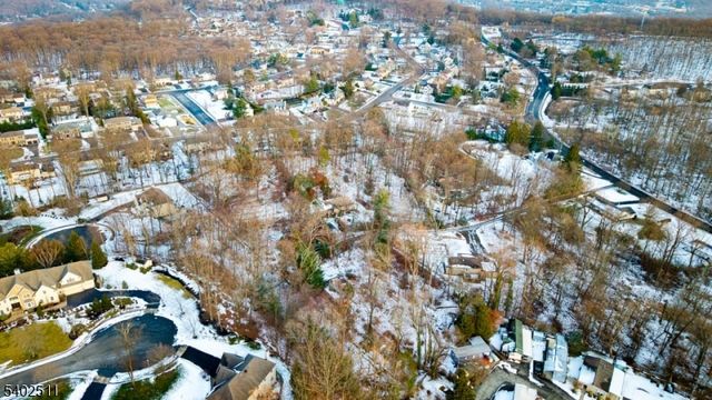 155 Mount Pleasant Ave, Rockaway Boro, NJ 07801