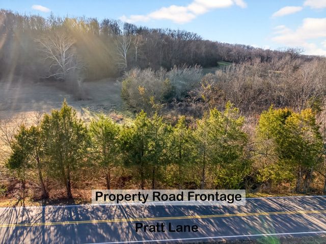 0 Pratt Ln, Franklin, TN 37064